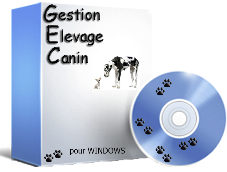 chien windows