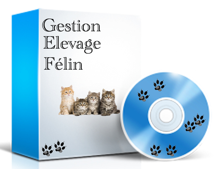 elevage felin